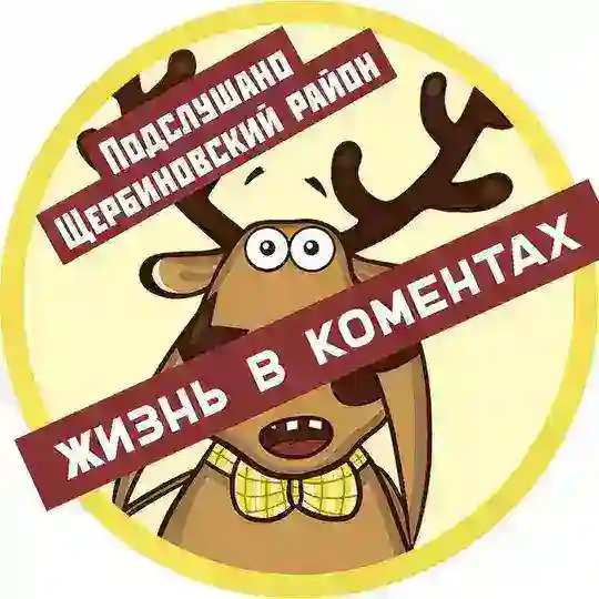 Жизнь в коментах | Чат ЩР