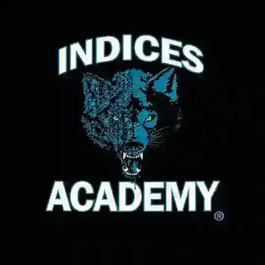 INDICES ACADEMY DISCUSSIONS
