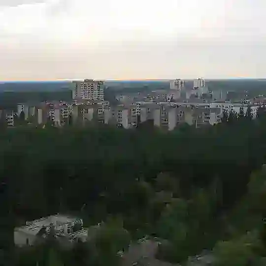 [Чернобыльская Аномальная Зона]