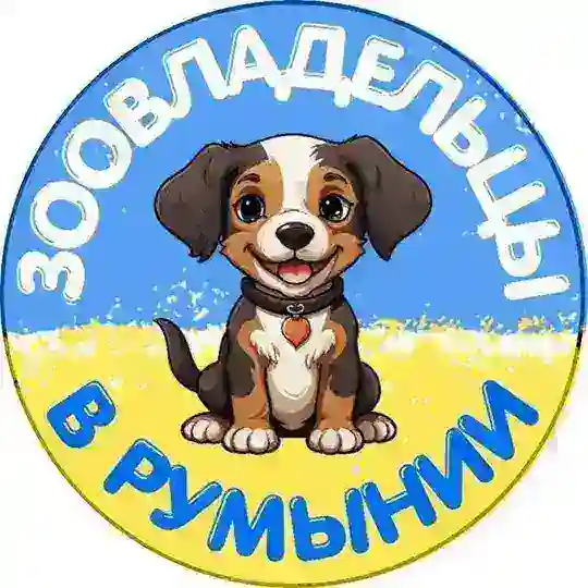 Зоовладельцы в Румынии🐕🐈⬛🇷🇴🇺🇦