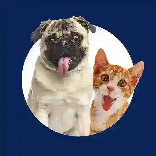 МОЙ ZOO | Скидки | Акции