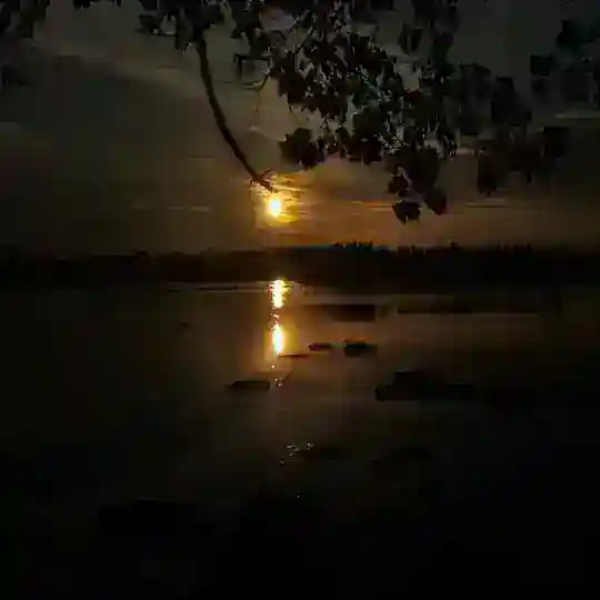 ZOOM BANGLA
