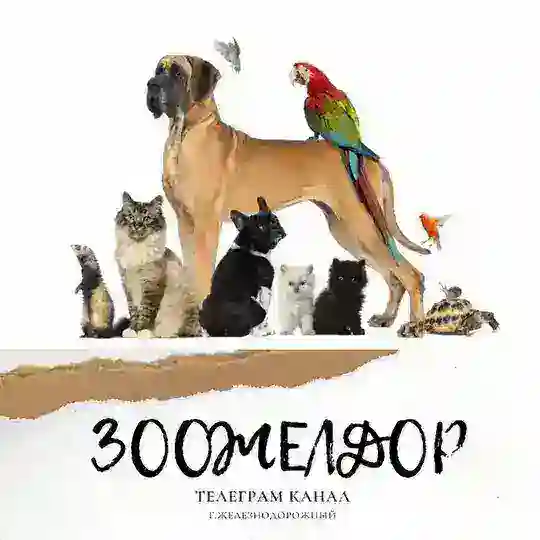 ЗооЖелдор (Железнодорожный/Балашиха)