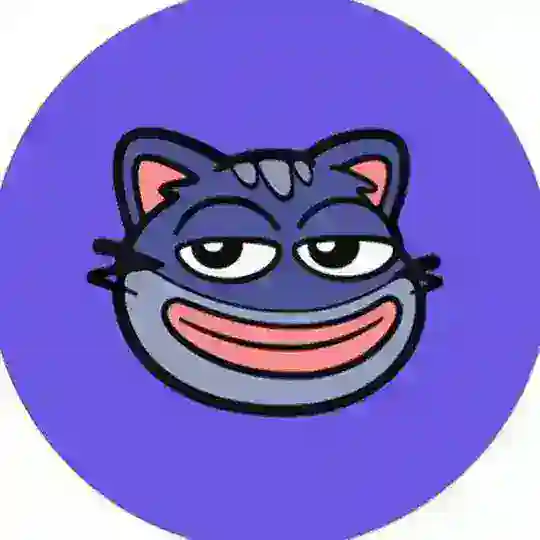 Zorro, King of zkSync