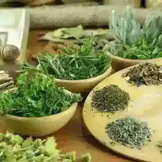 መርጌታ መላኩ ባህላዊ መዳህኒት ቀማሚ 🌿🌿🌿