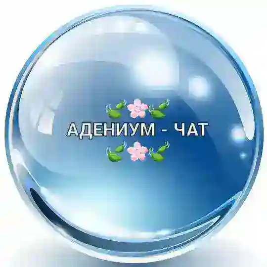 🌸Адениум-чат🌸