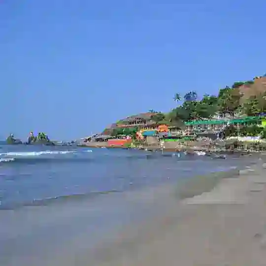 🏝 GOA | Арамболь