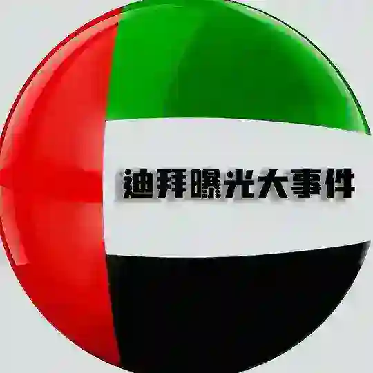 迪拜大事件 | 新闻曝光
