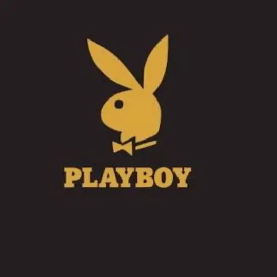 PLAY BOYS JOB