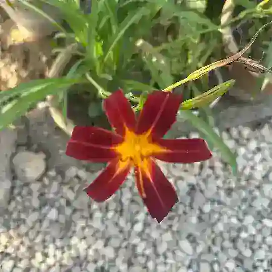 انسانم آرزوست 😊