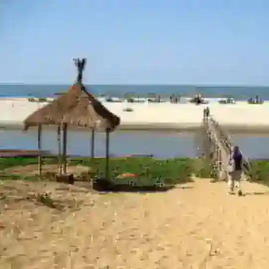 🏝 GOA | Мандрем