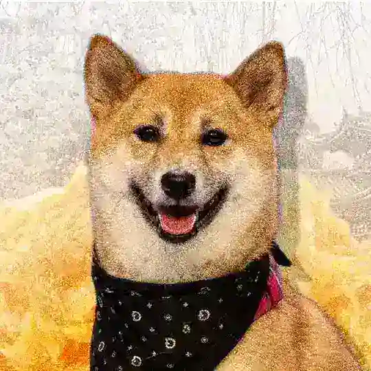 Kimchi🐶
