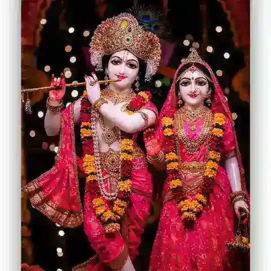 Malik✌️Bhai Satta✌️King ❤️