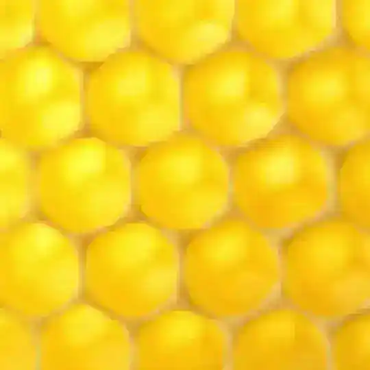Платформа Гребенникова