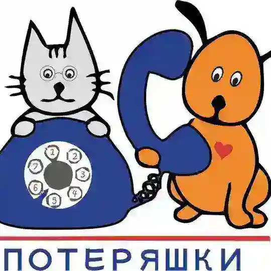 Потеряшки Орехово-Зуево и района