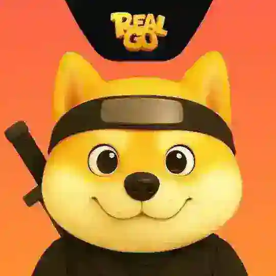 RealGo Official Chat