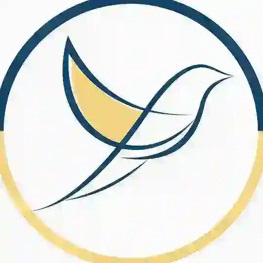 МБФ «Розвиток Нашого Міста»