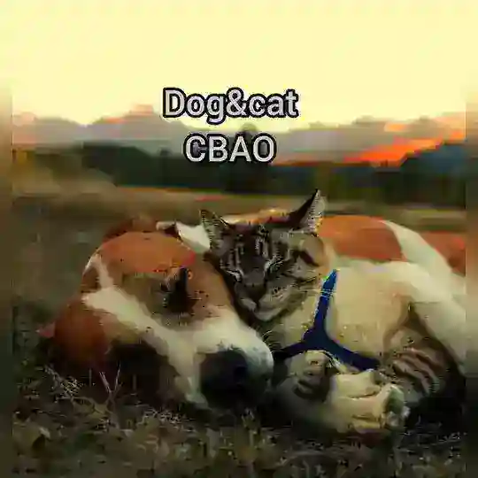 СВАО_Dogs