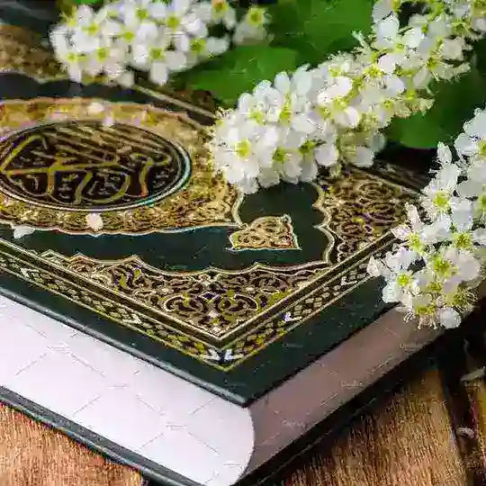 Qur'on 30 pora xatim