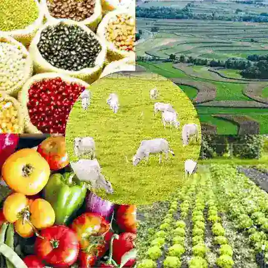 🌾Агропромышленный комплекс Россиии и СНГ 🌾