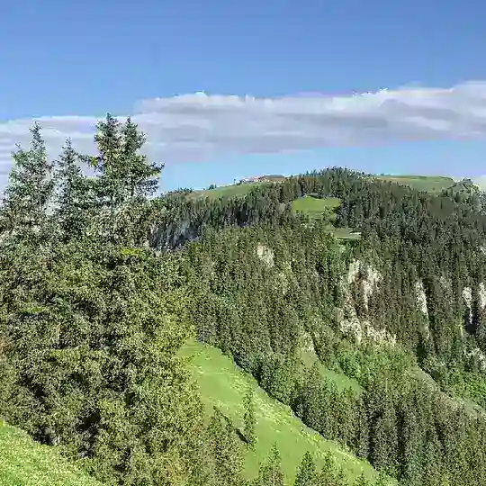 Aktiv aus der Einsamkeit