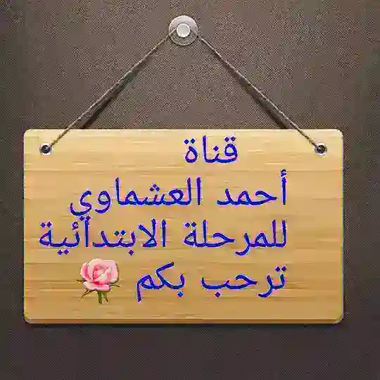 العشماوي / بيلسان / عربي ابتدائي
