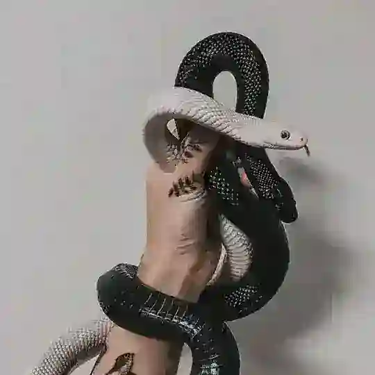 Новые Знакомства пендосы