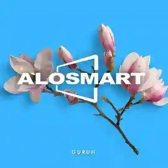 Alosmart | Guruh