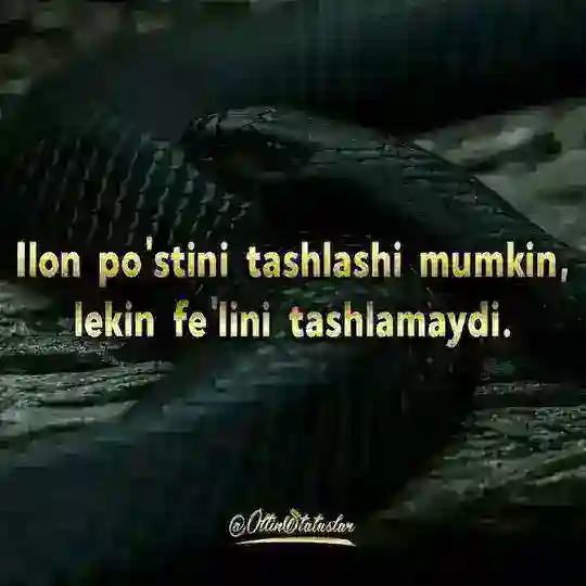 😎❤🥇꧁XORAZIM 🌹