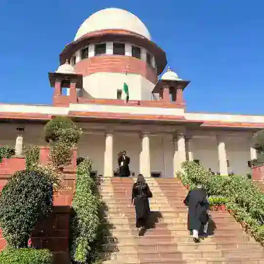APEX COURT