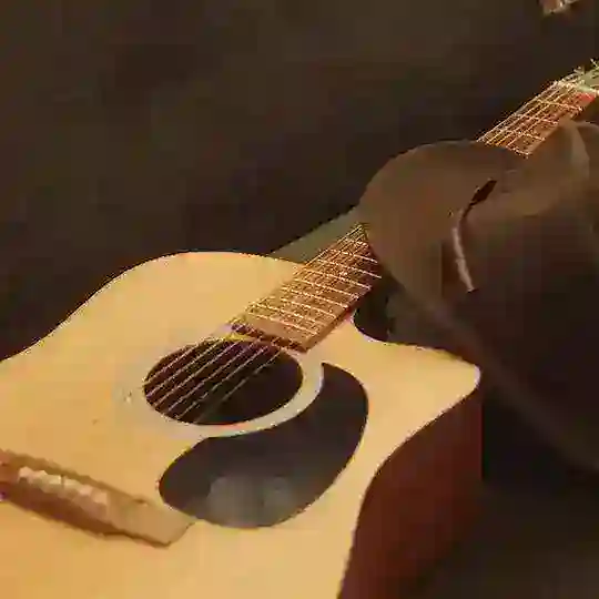 La guitarra social Lleida 🎸