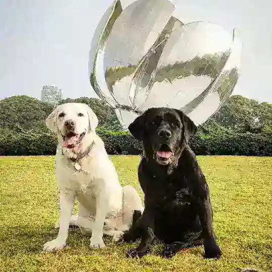 Хвостатые Аргентины 🐶🐱 Telegram Group Avatar