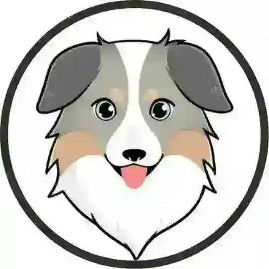 AssFinance Token