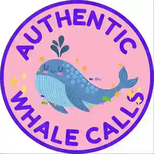 YouTube Channel Promotion