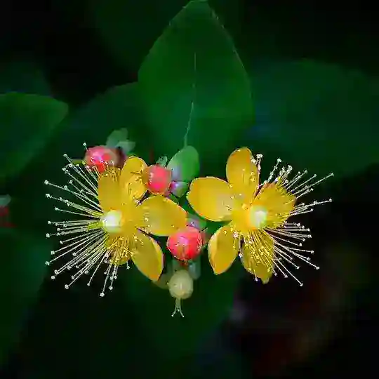 🇦🇿🇦🇿🇦🇿Azərbaycan Respublikası söhbət qrupu🇦🇿🇦🇿🇦🇿