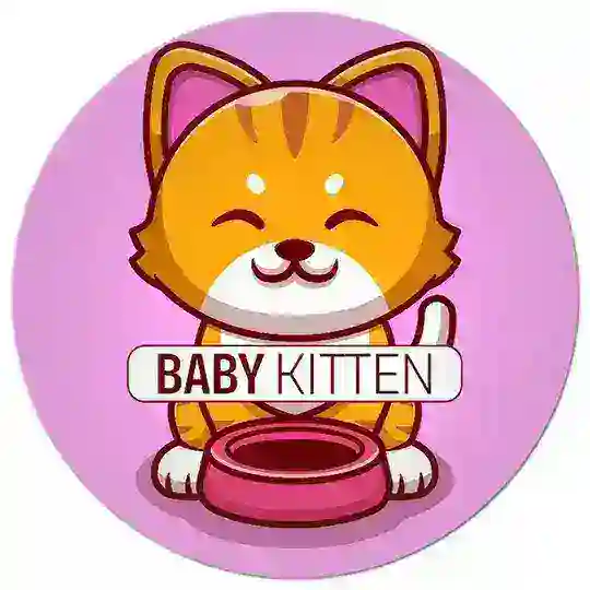 BABY KITTEN INDIA 🇮🇳