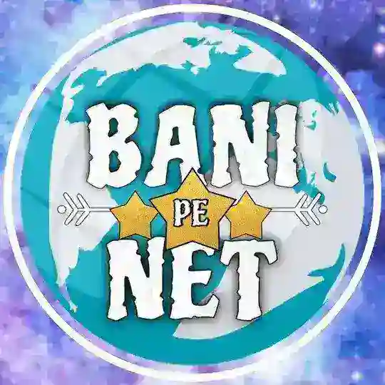 Bani pe net