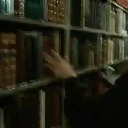 Электронная библиотека