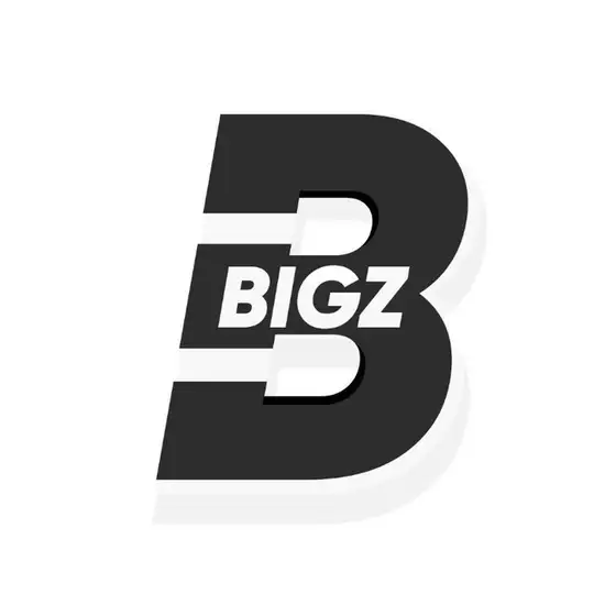 BIGZ LABS | STREAMER
