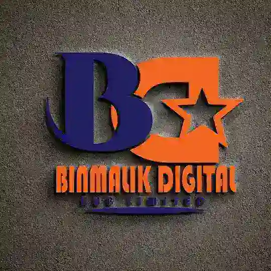 Binmalik Digital Hub Limited