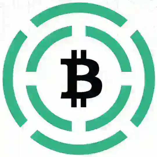 Bitcoin Cash City