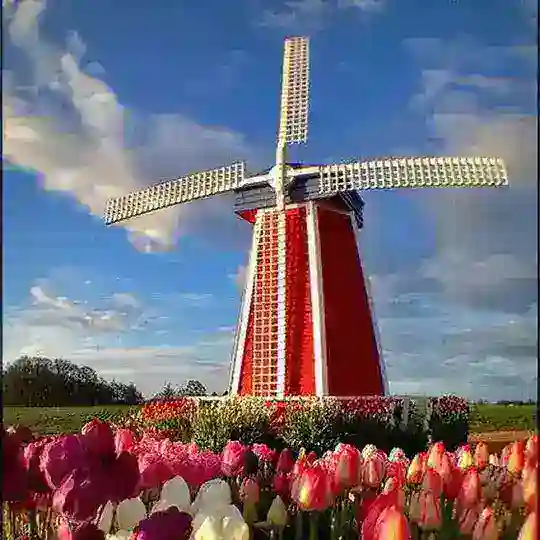 Bitcoin Holland