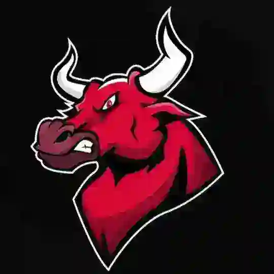 BNBBull community