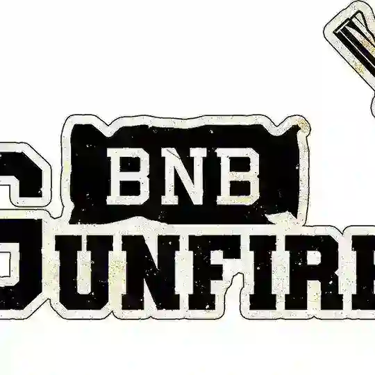 BNB Gun Fire CN 币安枪手