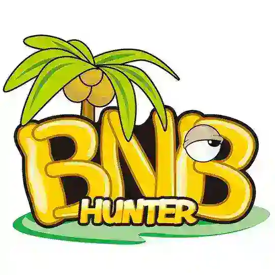 BNBHunter |The MMORPG game with NFT story on P2E