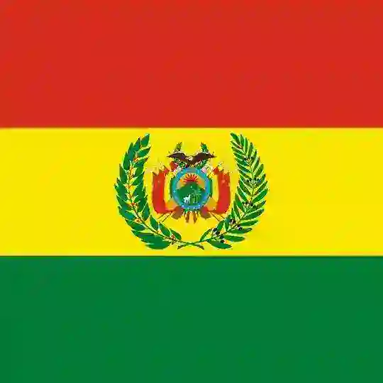🇧🇴 Боливия чат