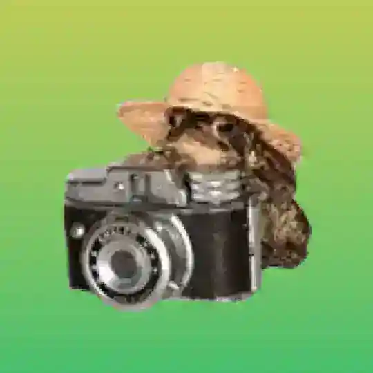 БОЛТАНКА