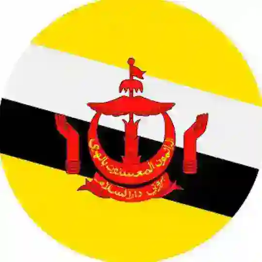 🇧🇳 Бруней чат