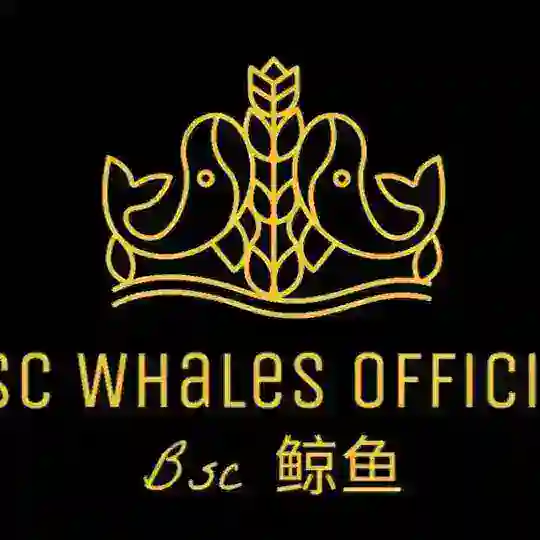 BSC Whales | Bsc 鲸鱼
