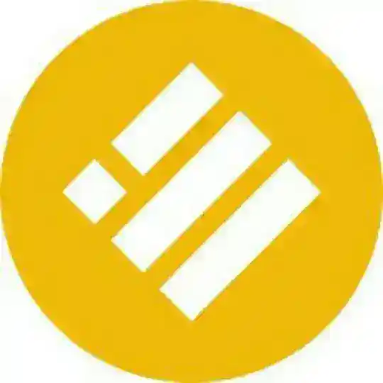 Binance USD Token
